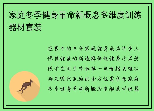家庭冬季健身革命新概念多维度训练器材套装